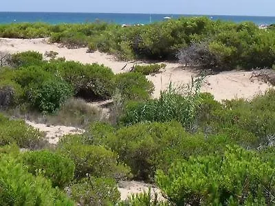 Paraiso En La Loma De Santa Pola *