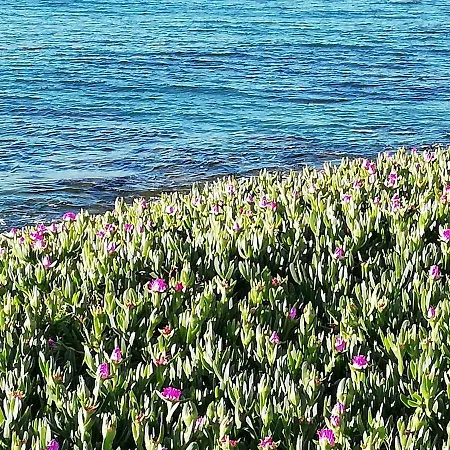 Paraiso En La Loma De Santa Pola * Gran Alacant