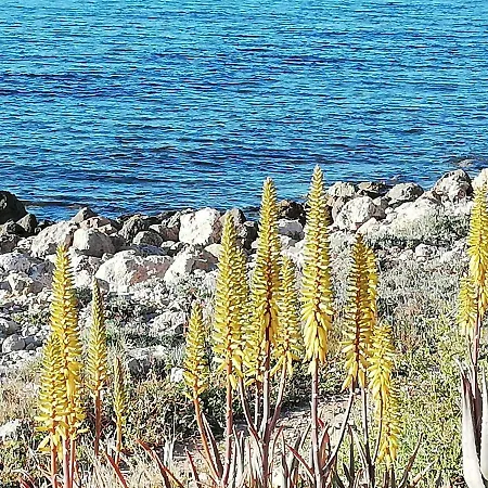 Paraiso En La Loma De Santa Pola