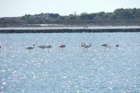 Apartamento Paraíso En La Loma De Santa Pola *